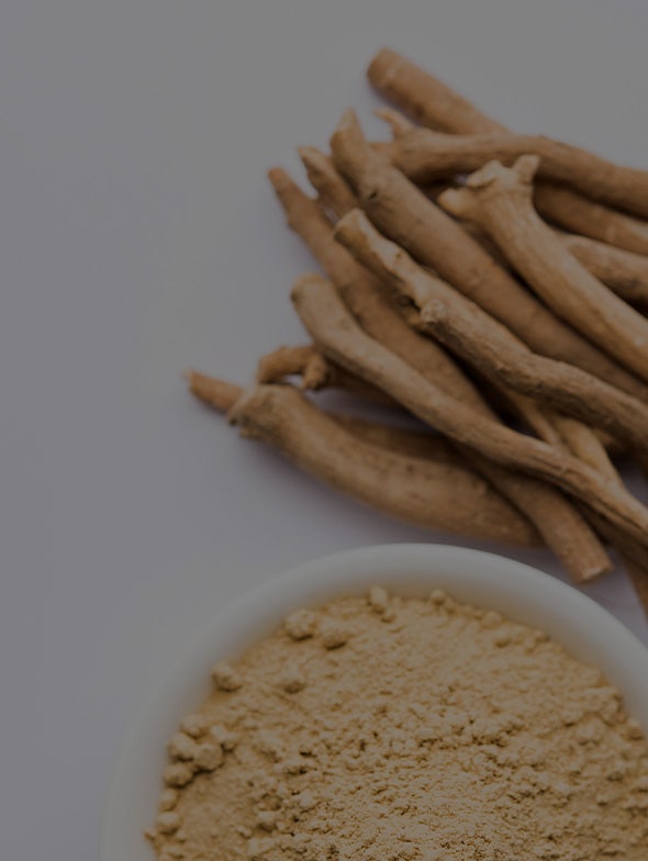 Ashwagandha: un precioso aliado contra el estrés