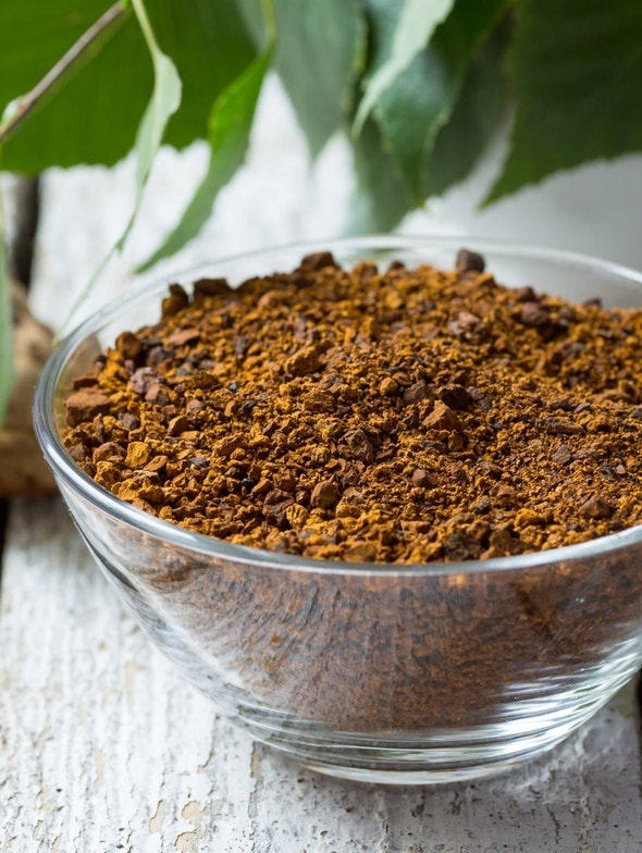 Chaga: el hongo de la salud