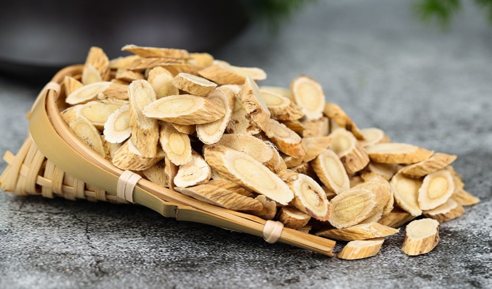 Astragalus: energía y salud desde Oriente