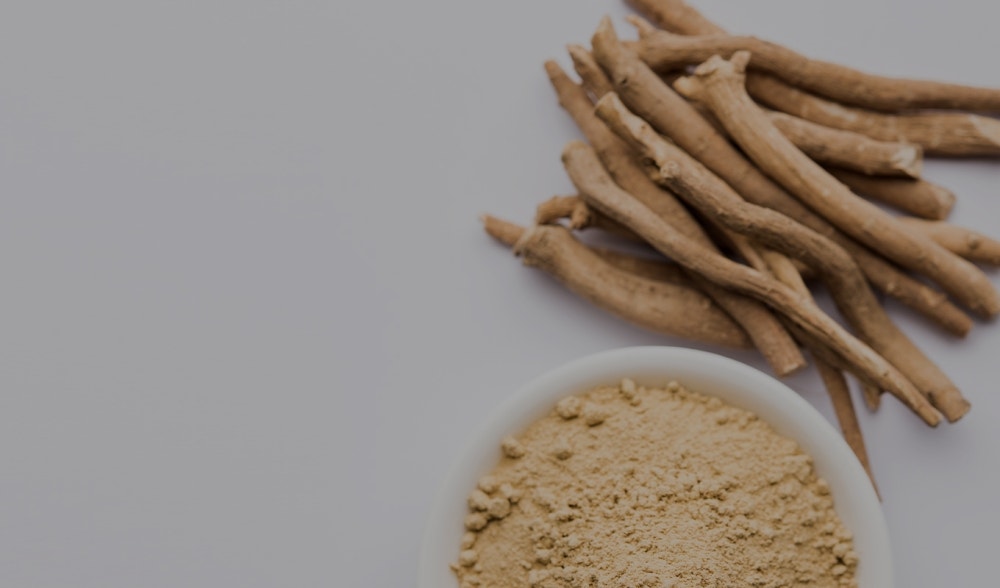 Ashwagandha: un precioso aliado contra el estrés