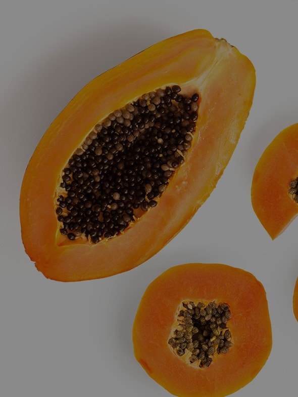 Papaya Fermentada | 5 cosas que no sabes