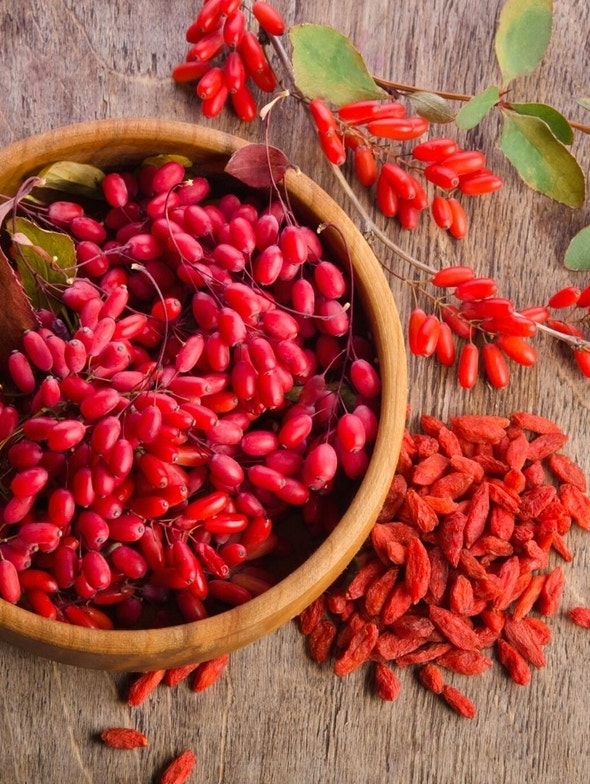 Bayas de Goji Los 4 beneficios destacados por la investigación