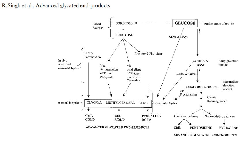 Productos avanzados de glicación